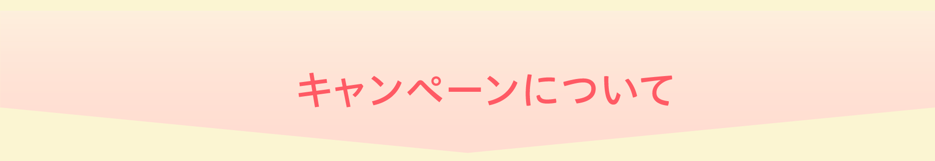 キャンペーンについて